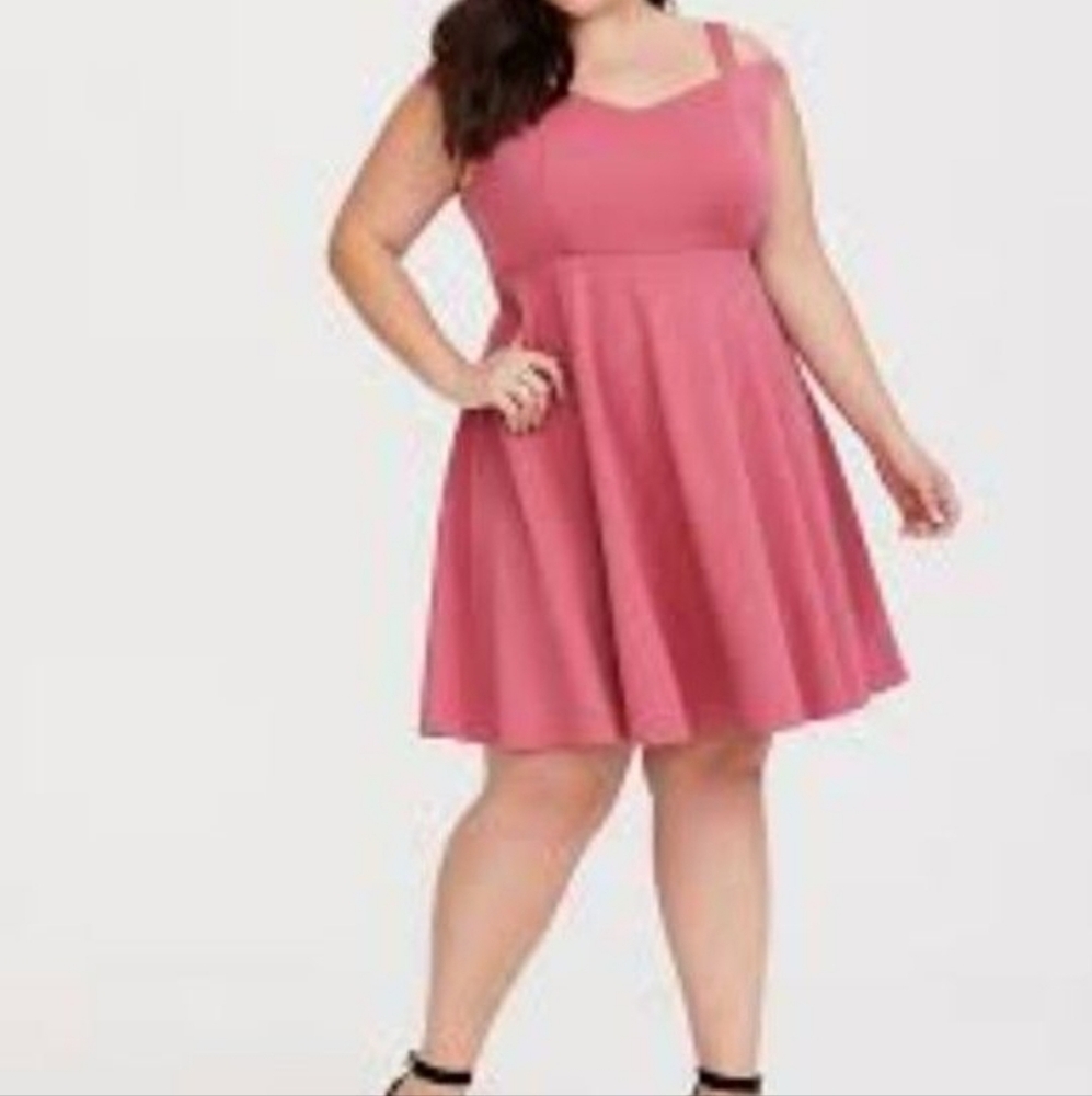 Torrid skater dress